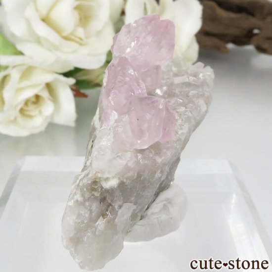֥饸 ߥʥ饤 Ĥη뾽 29.5gμ̿0 cute stone