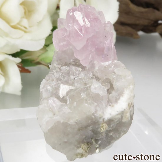 ֥饸 ߥʥ饤 Ĥη뾽 29.5gμ̿2 cute stone
