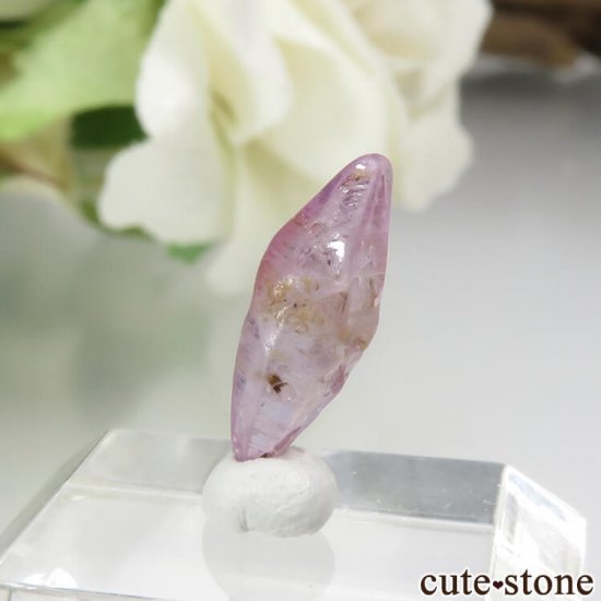  Ratnapura եη뾽 1.5ctμ̿1 cute stone