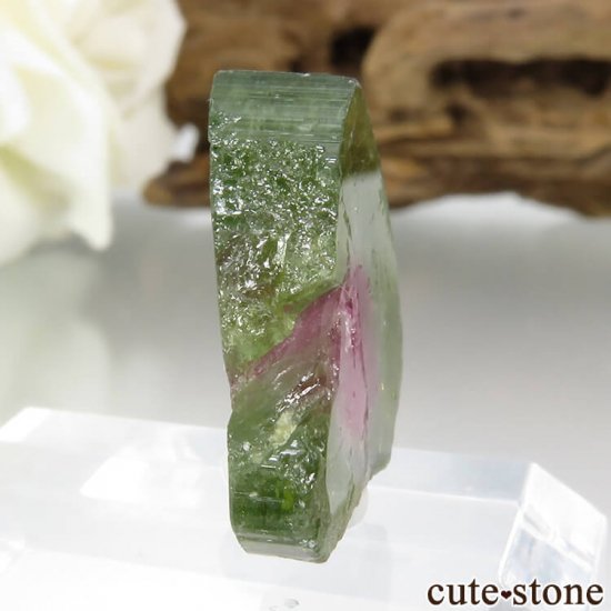 ֥饸 ߥʥ饤 ȥޥΥ饤 2.4gμ̿0 cute stone