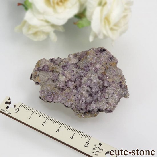  Zinnwald ѡץե饤Ȥդη뾽ʸС 21.2gμ̿4 cute stone