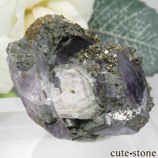 ᥭ ѡץ֥롼ե饤ȡѥ饤ȡʸС 20.3gμ̿0 cute stone