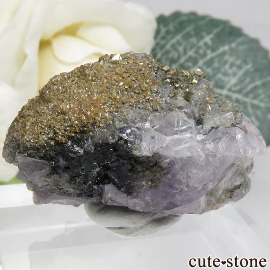 ᥭ ѡץ֥롼ե饤ȡѥ饤ȡʸС 20.3gμ̿1 cute stone