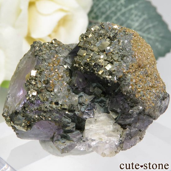 ᥭ ѡץ֥롼ե饤ȡѥ饤ȡʸС 20.3gμ̿2 cute stone