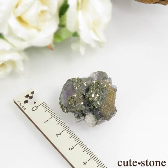 ᥭ ѡץ֥롼ե饤ȡѥ饤ȡʸС 20.3gμ̿4 cute stone