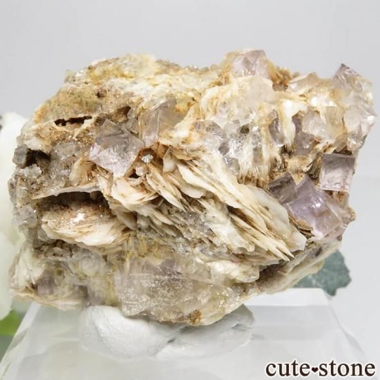 ڥ ٥٥ ѡץ֥롼ե饤ȡХ饤ȡĤդ뾽ʸС82.8gμ̿1 cute stone