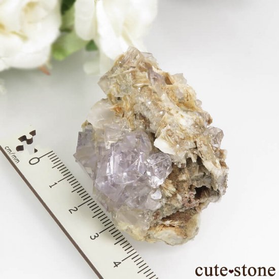 ڥ ٥٥ ѡץ֥롼ե饤ȡХ饤ȡĤդ뾽ʸС82.8gμ̿5 cute stone