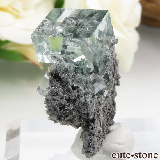  Xianghualing Mine ꡼ե饤Ȥη뾽 11gμ̿2 cute stone