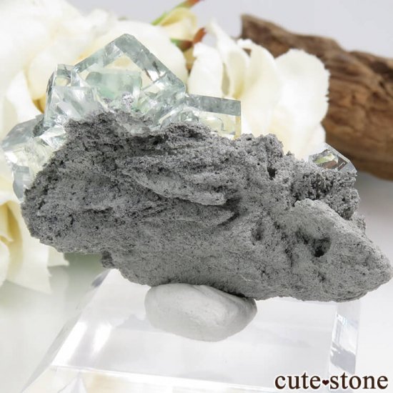  Xianghualing Mine ꡼ե饤Ȥη뾽 23.4gμ̿0 cute stone