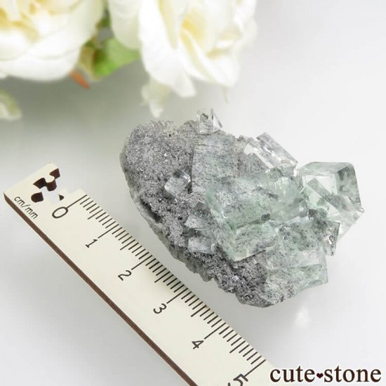  Xianghualing Mine ꡼ե饤Ȥη뾽 23.4gμ̿3 cute stone
