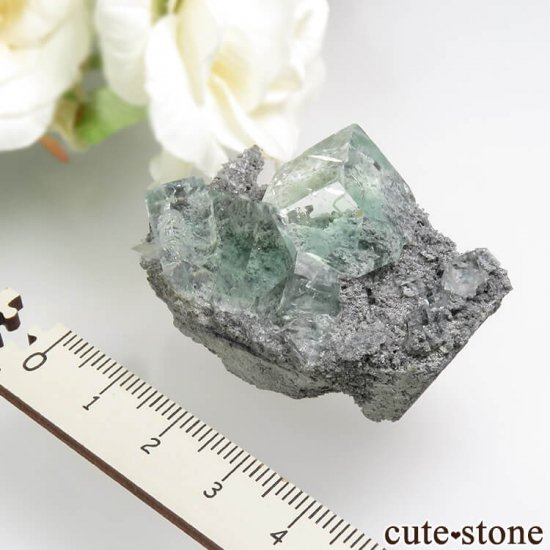  Xianghualing Mine ꡼ե饤Ȥη뾽 25.2gμ̿3 cute stone