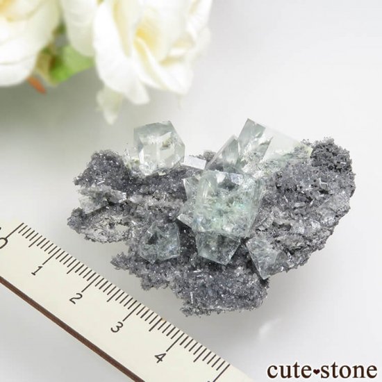  Xianghualing Mine ꡼ե饤Ȥη뾽 25.1gμ̿3 cute stone