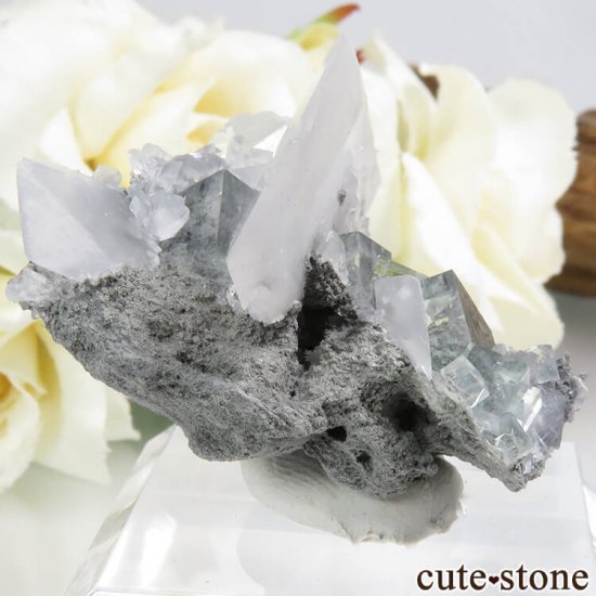  Xianghualing Mine ꡼ե饤ȡ륵Ȥη뾽 11gμ̿0 cute stone