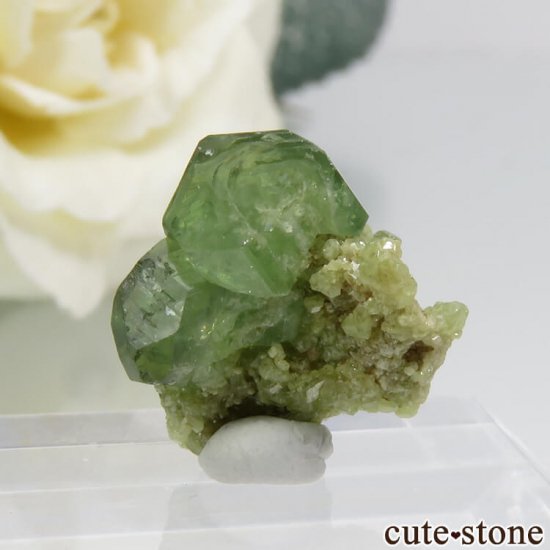 ޥ뻺ΥǥޥȥɥͥåȤդ 2.3gμ̿1 cute stone