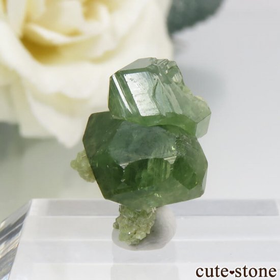 ޥ뻺ΥǥޥȥɥͥåȤդ 2.3gμ̿2 cute stone