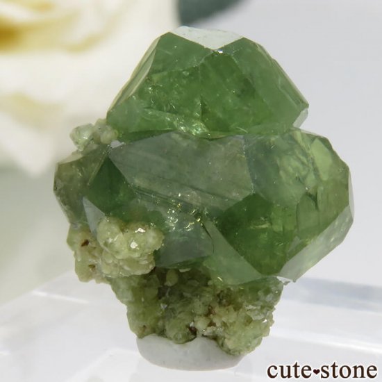 ޥ뻺ΥǥޥȥɥͥåȤդ 2.3gμ̿3 cute stone