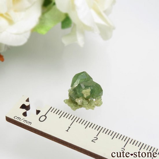 ޥ뻺ΥǥޥȥɥͥåȤդ 2.3gμ̿4 cute stone