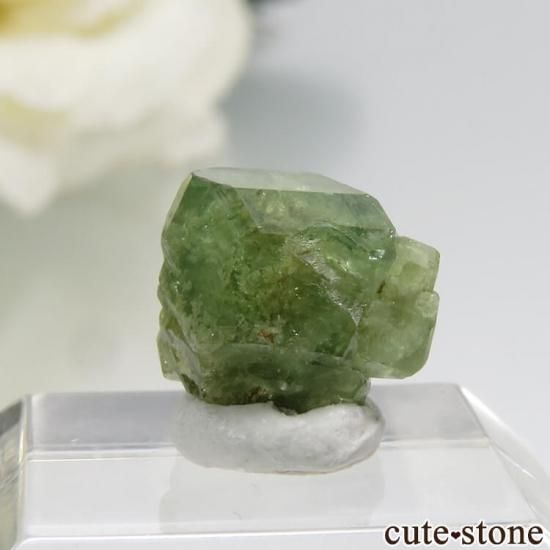 ޥ뻺ΥǥޥȥɥͥåȤη뾽 0.7gμ̿1 cute stone