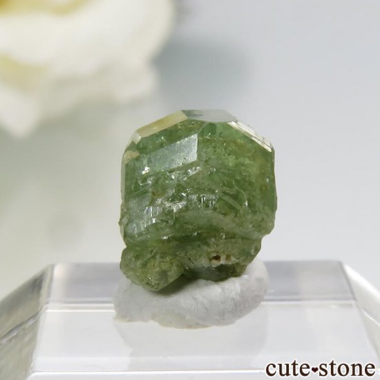 ޥ뻺ΥǥޥȥɥͥåȤη뾽 0.7gμ̿2 cute stone