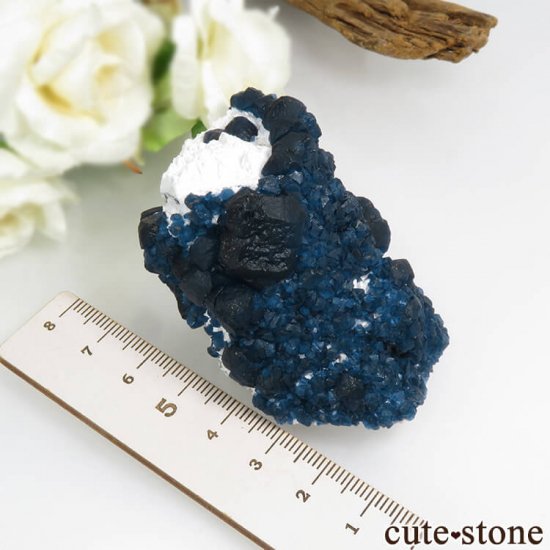  󥴥뻺 Huanggang ǥץ֥롼ե饤ȡĤθ 125gμ̿6 cute stone