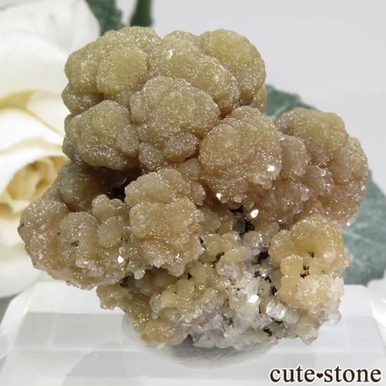 ᥭ Santa Eulalia ߥ᥿ȡ륵Ȥη뾽ʸС 47.3gμ̿1 cute stone