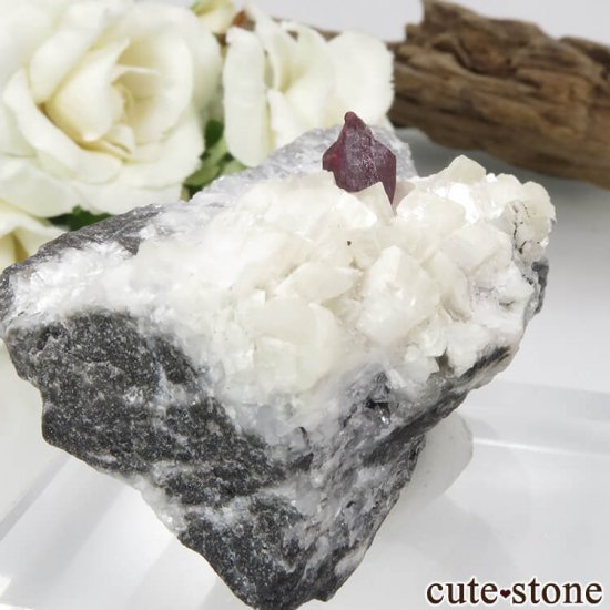  ʻ äʥ󥷥˥ʥСɥޥȤդ 93.2gμ̿0 cute stone