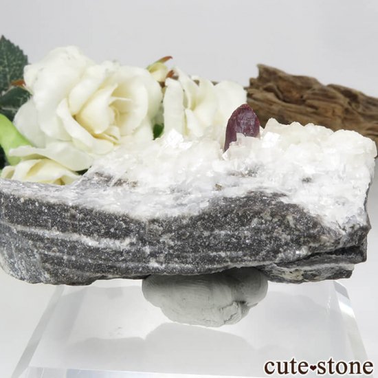  ʻ äʥ󥷥˥ʥСɥޥȤդ 93.2gμ̿1 cute stone