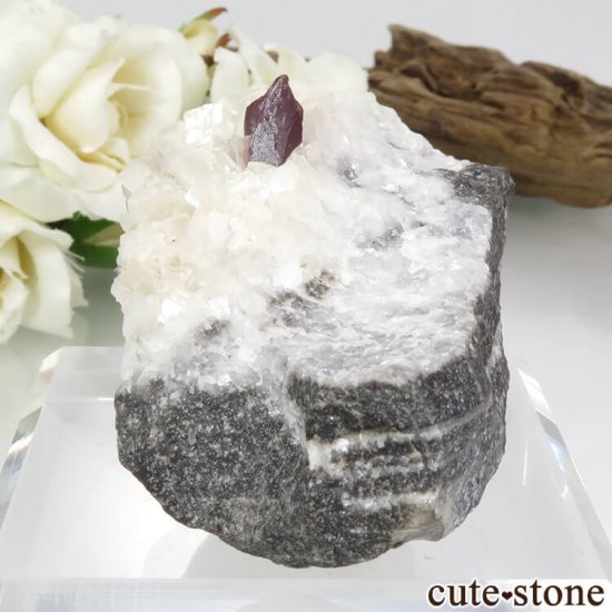  ʻ äʥ󥷥˥ʥСɥޥȤդ 93.2gμ̿2 cute stone