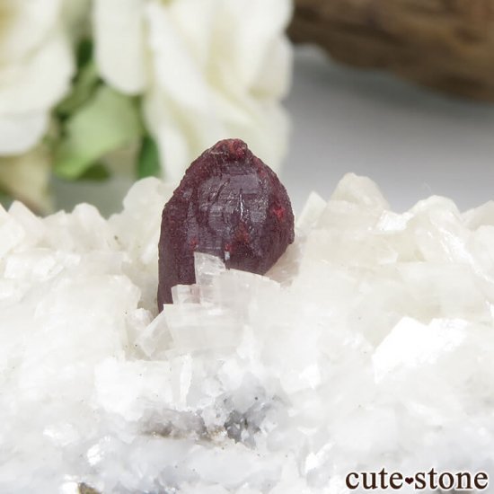 ʻ äʥ󥷥˥ʥСɥޥȤդ 93.2gμ̿4 cute stone