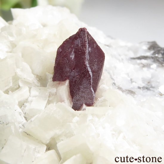  ʻ äʥ󥷥˥ʥСɥޥȤդ 93.2gμ̿5 cute stone