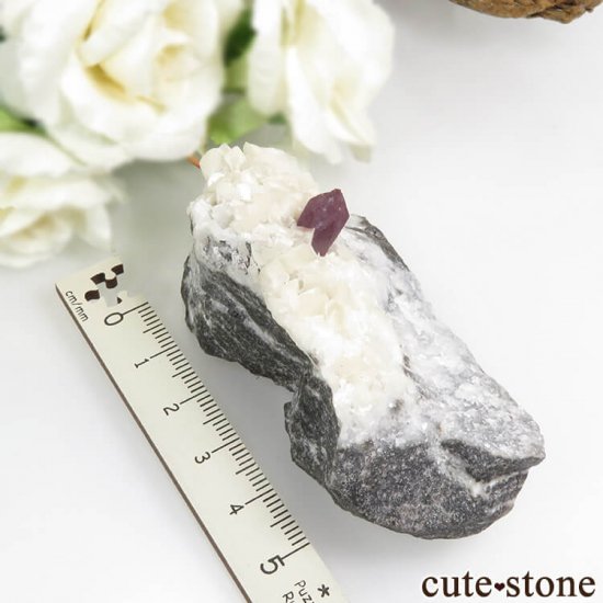  ʻ äʥ󥷥˥ʥСɥޥȤդ 93.2gμ̿6 cute stone