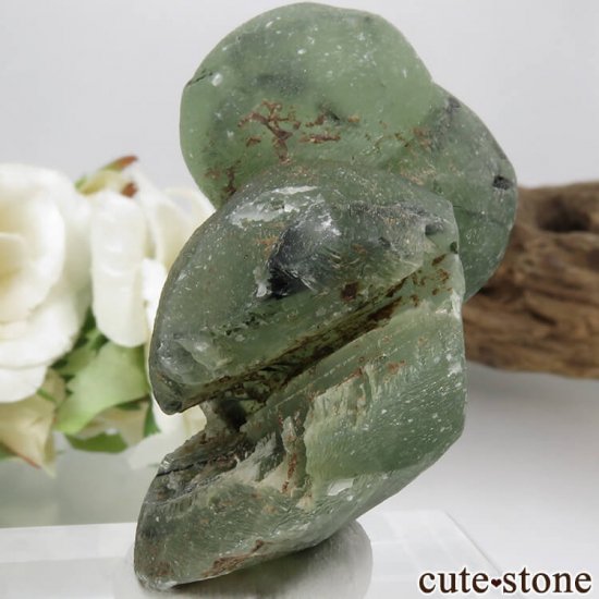 ޥ껺 ץʥȡԥɡȤη뾽 49.2gμ̿2 cute stone