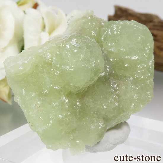 ꥫ ˥塼㡼 ץʥȤη뾽 31.3gμ̿0 cute stone