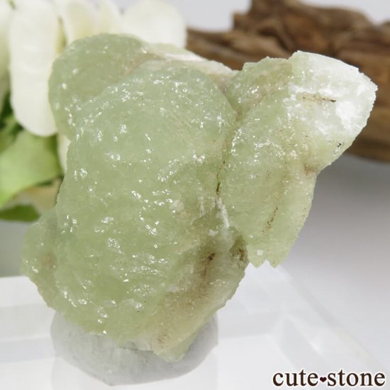 ꥫ ˥塼㡼 ץʥȤη뾽 31.3gμ̿2 cute stone