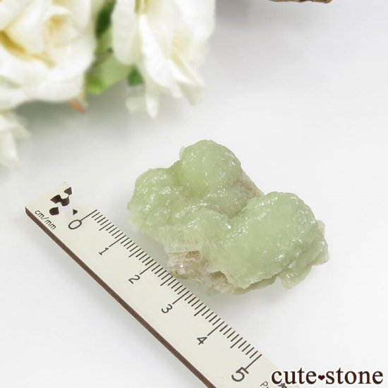ꥫ ˥塼㡼 ץʥȤη뾽 31.3gμ̿4 cute stone