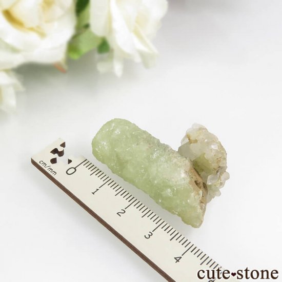 ꥫ ˥塼㡼 ץʥȤη뾽 19.3gμ̿4 cute stone