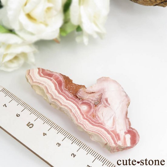 를󻺥ɥȡʥ󥫥ˤΥ饤() 30.4gμ̿3 cute stone