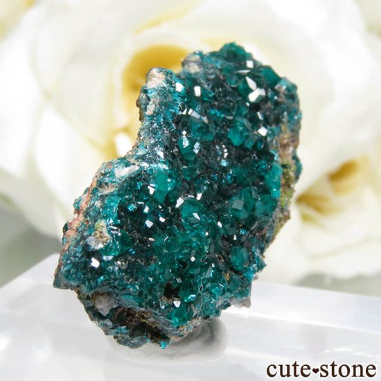 ʥߥӥ Tsumeb MineΥץơդ뾽ʸС6.3gμ̿0 cute stone