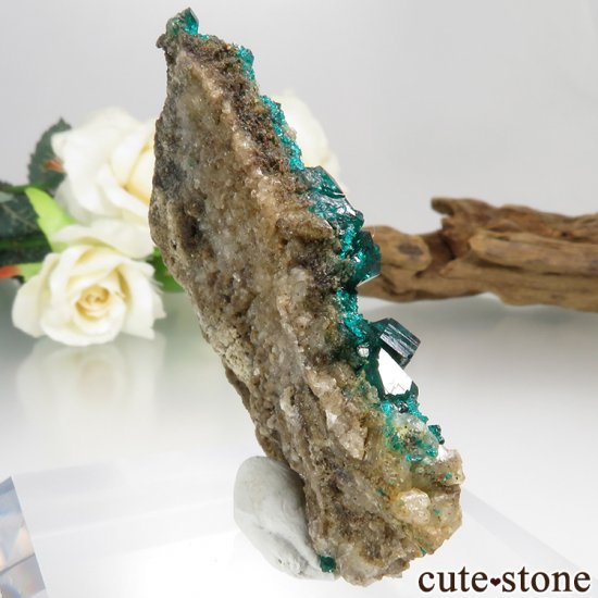 ե󻺤Υץơη뾽ʸС19.2gμ̿0 cute stone