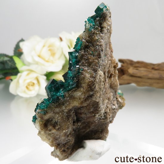 ե󻺤Υץơη뾽ʸС19.2gμ̿1 cute stone