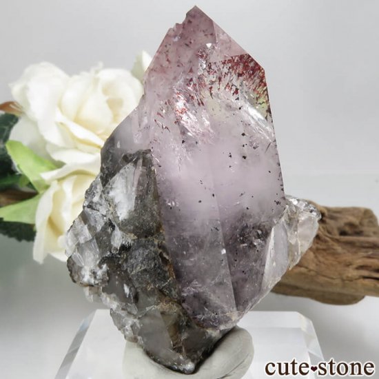 ʥߥӥ Goboboseb ԥɥȥ󥯥ġʥեġˤդ뾽ʸС63.8gμ̿0 cute stone