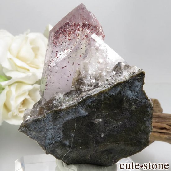 ʥߥӥ Goboboseb ԥɥȥ󥯥ġʥեġˤդ뾽ʸС63.8gμ̿2 cute stone