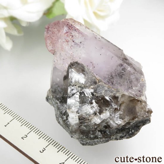 ʥߥӥ Goboboseb ԥɥȥ󥯥ġʥեġˤդ뾽ʸС63.8gμ̿6 cute stone