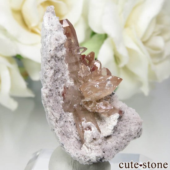 ᥭ San Luis Potosi ȥѡդ뾽ʸС7.7gμ̿0 cute stone