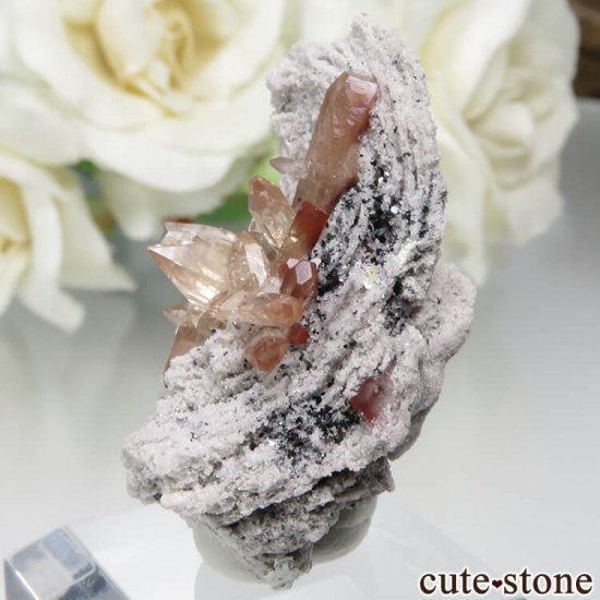 ᥭ San Luis Potosi ȥѡդ뾽ʸС7.7gμ̿1 cute stone