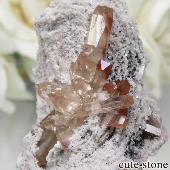 ᥭ San Luis Potosi ȥѡդ뾽ʸС7.7gμ̿2 cute stone