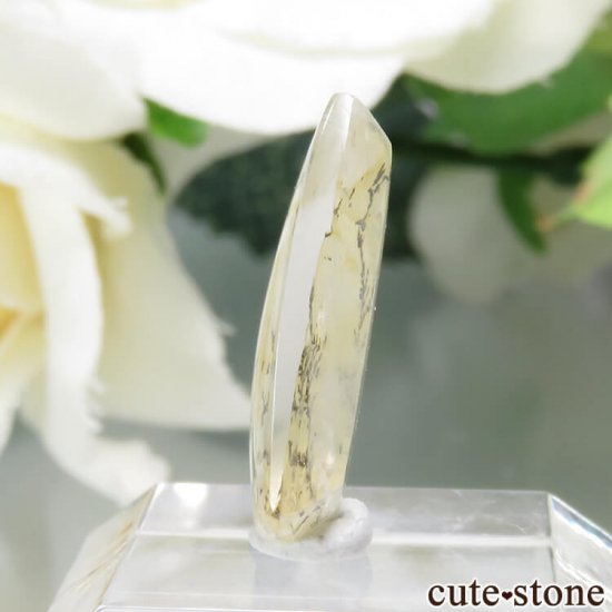 ֥饸뻺 ǥɥƥåĤΥ롼 3.3ctμ̿2 cute stone