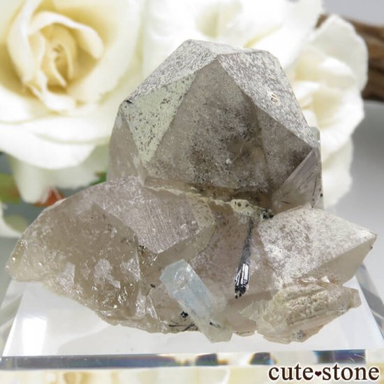 ʥߥӥ 󥴻 ޥ&⡼ġ֥åȥޥη뾽ʸС24.9gμ̿0 cute stone