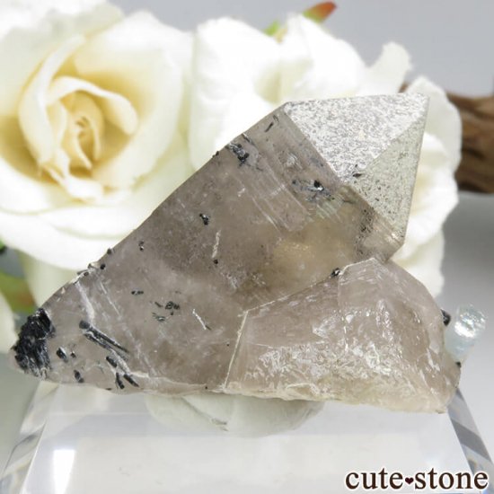 ʥߥӥ 󥴻 ޥ&⡼ġ֥åȥޥη뾽ʸС24.9gμ̿1 cute stone