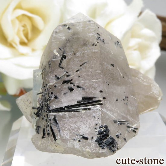ʥߥӥ 󥴻 ޥ&⡼ġ֥åȥޥη뾽ʸС24.9gμ̿2 cute stone